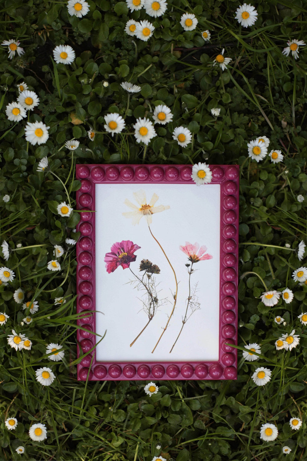 Orchid Bobbin Frame