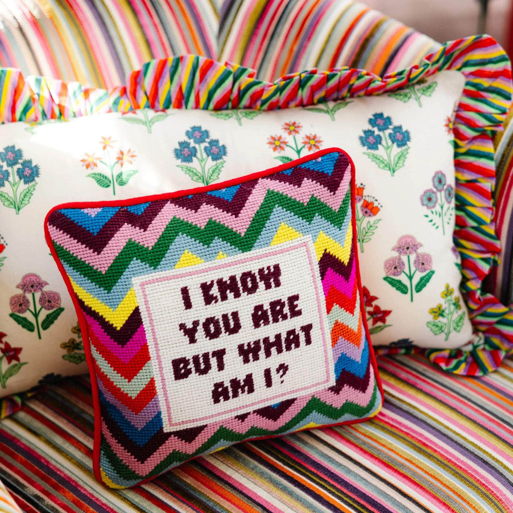 But What Am I Needlepoint Pillow