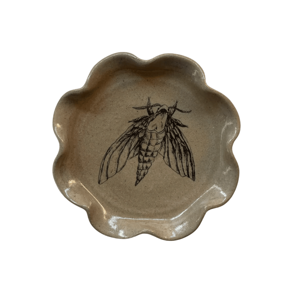 Frilly Dish - Moth