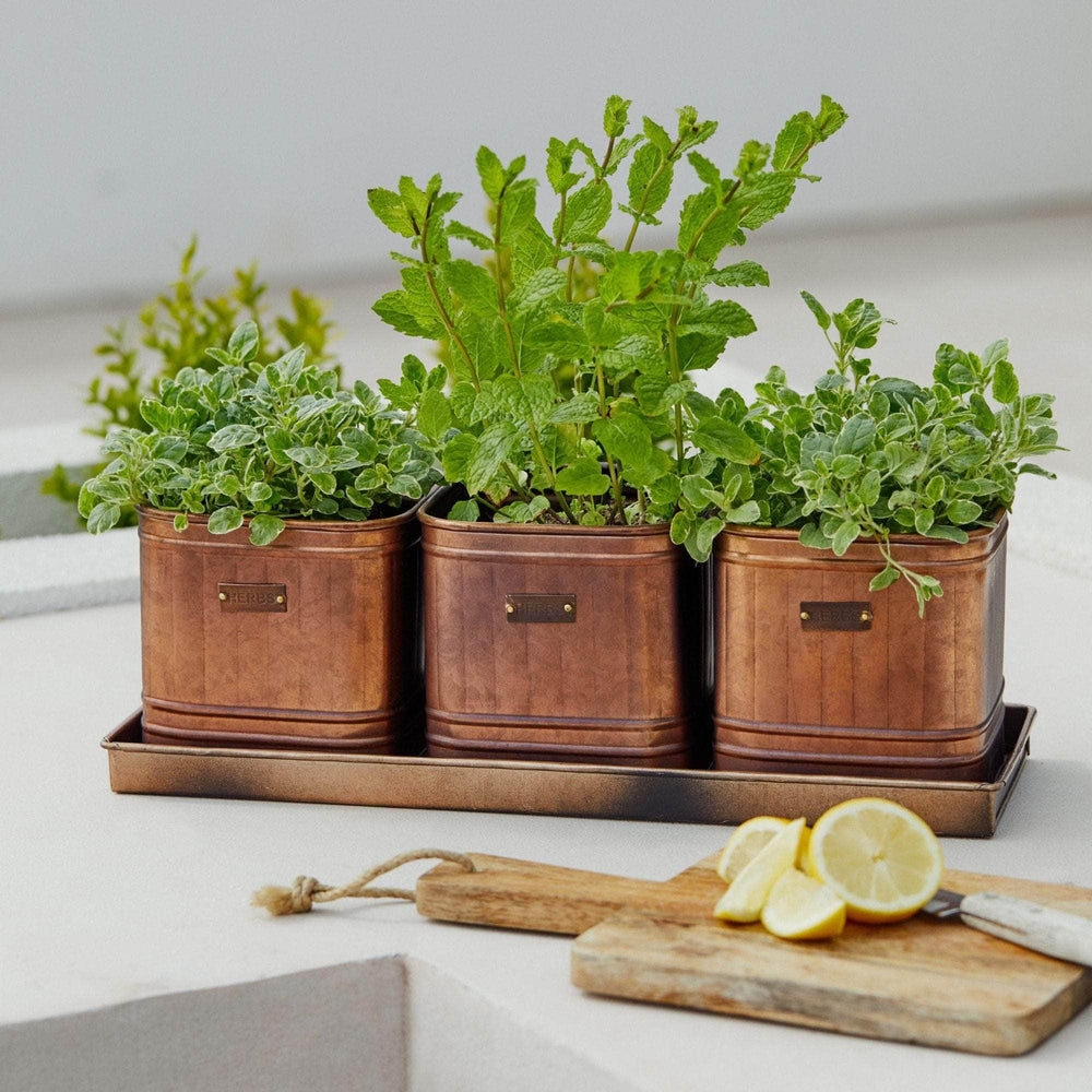 Outdoor Hampton Copper Set of 3 Herb Planters With Tray