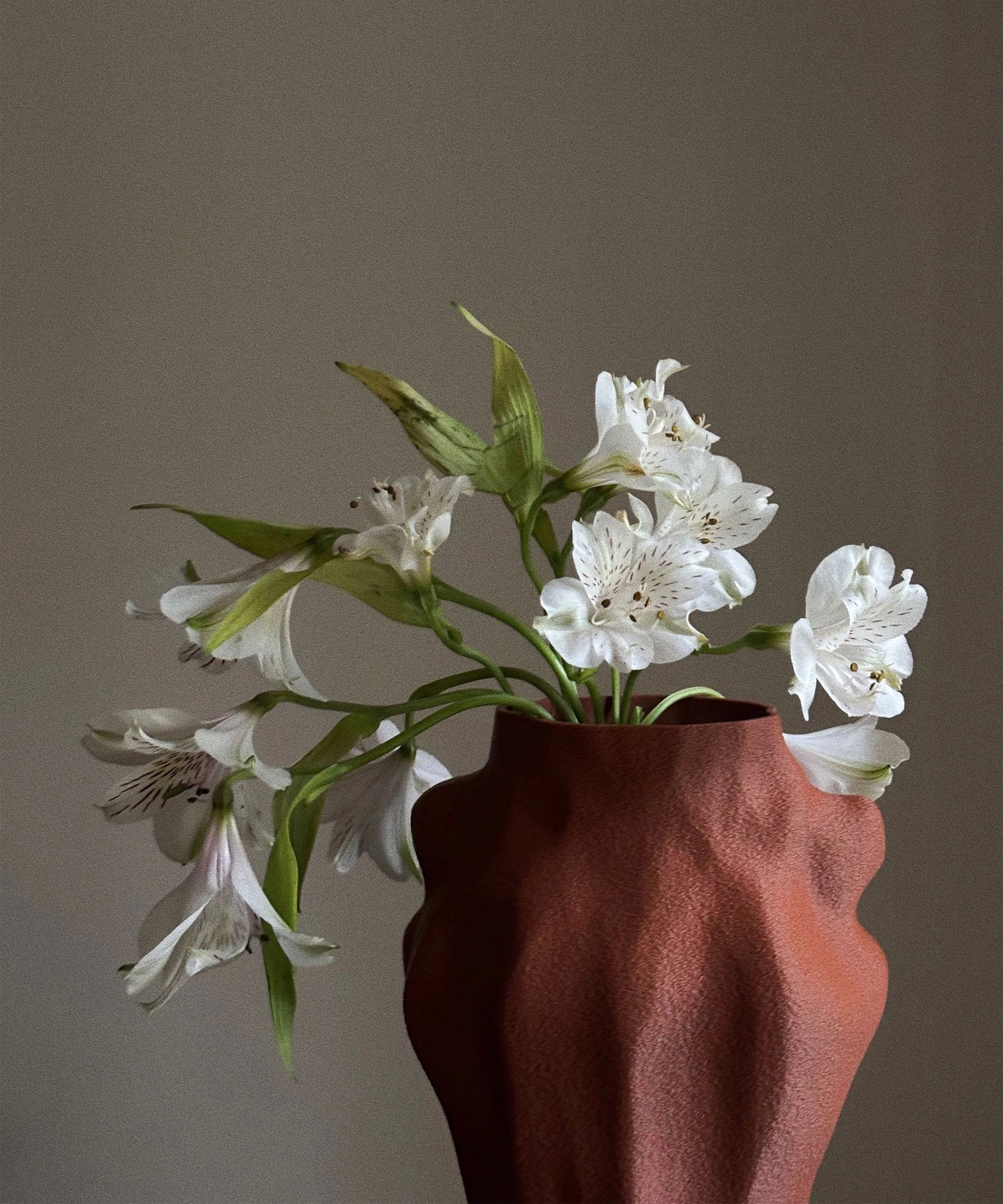 Amta | Vase | Burnt Ochre