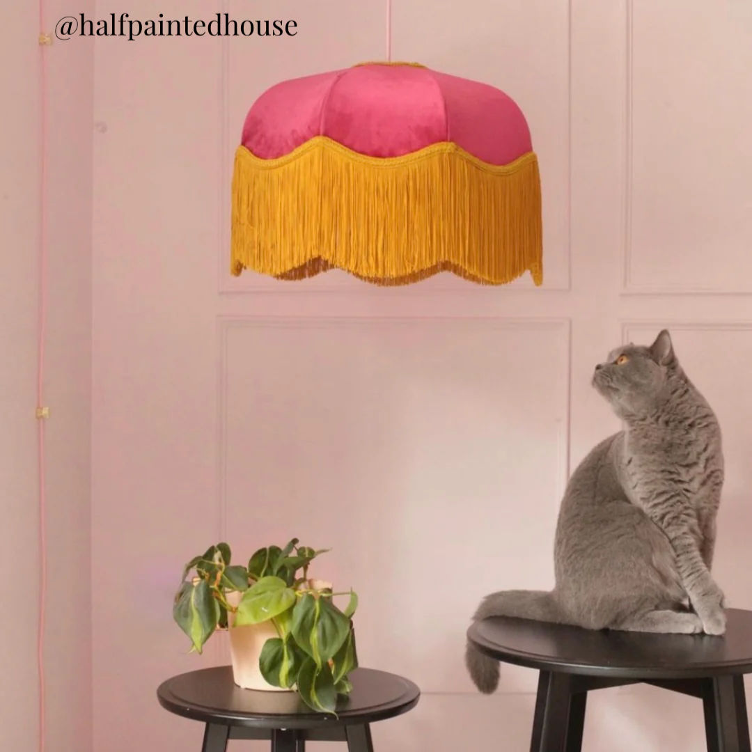 The Raspberry Lampshade