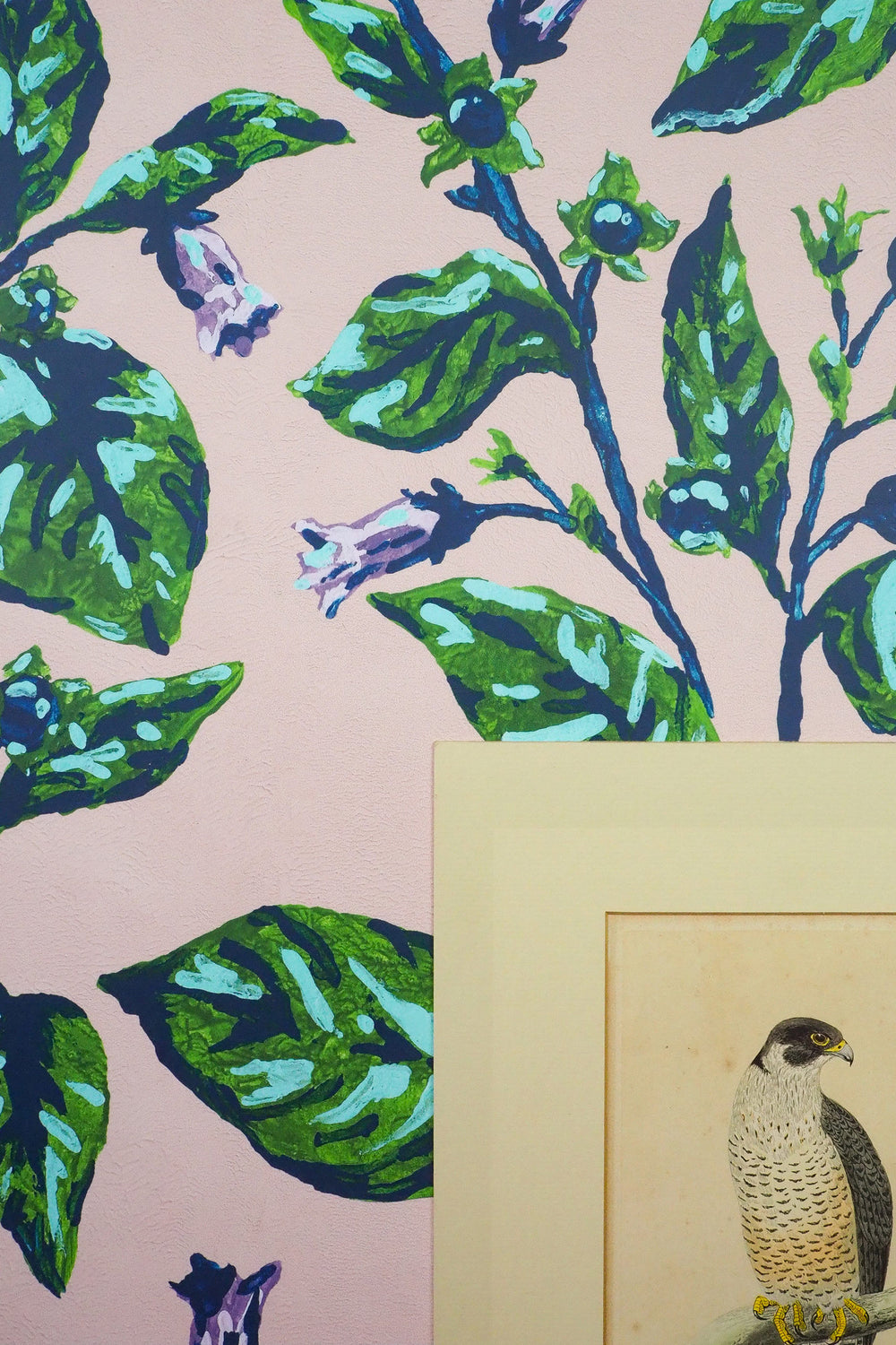 Belladonna Plaster Wallpaper