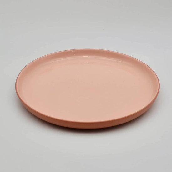 Dinner Plate Earthy Tone