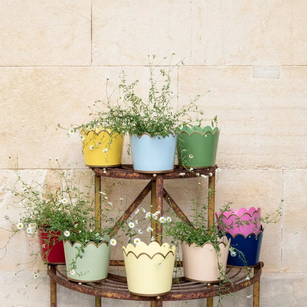 Scalloped Planter Small - Sunshine Yellow