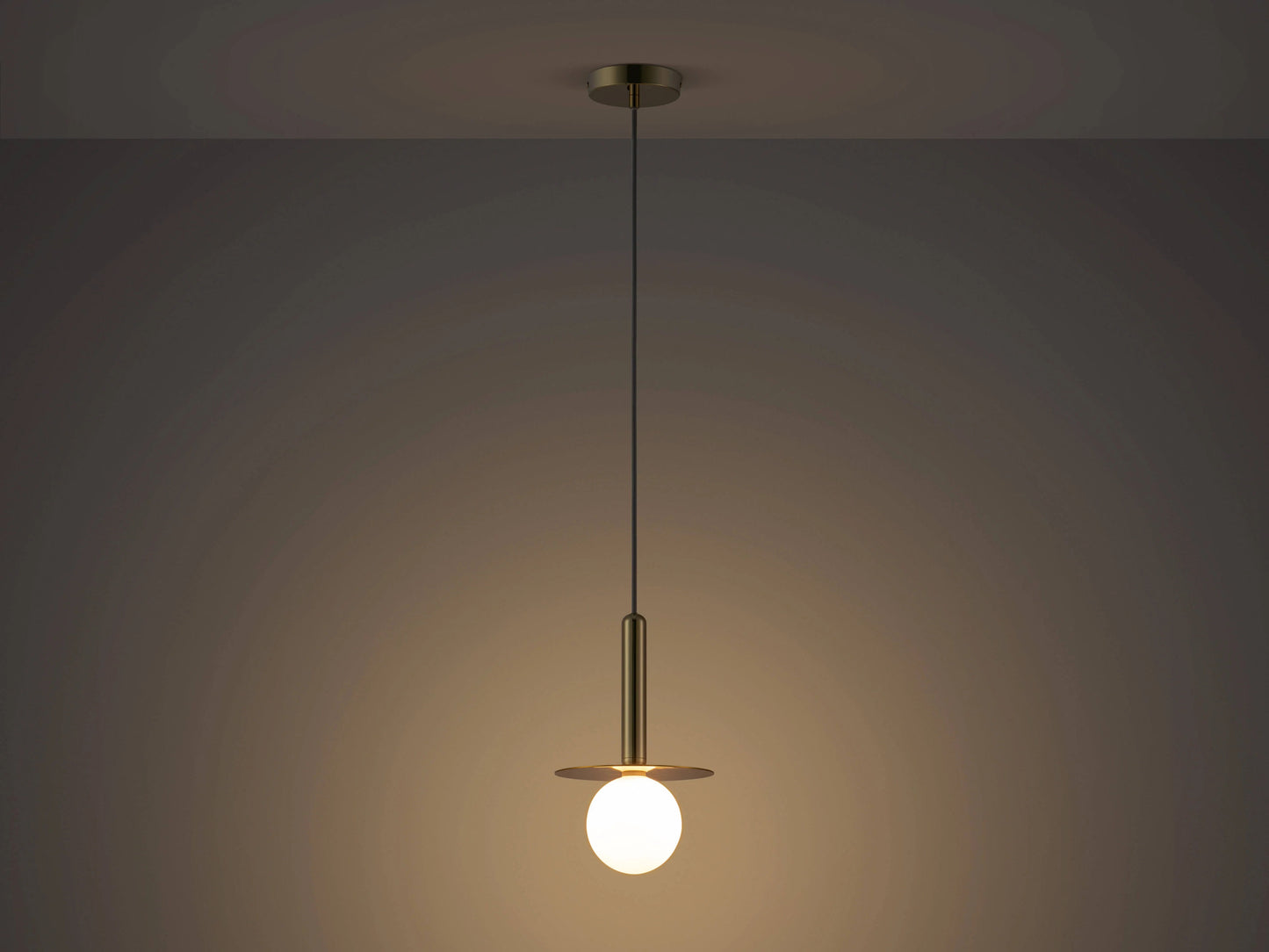 Brass Plate Pendant Ceiling Light