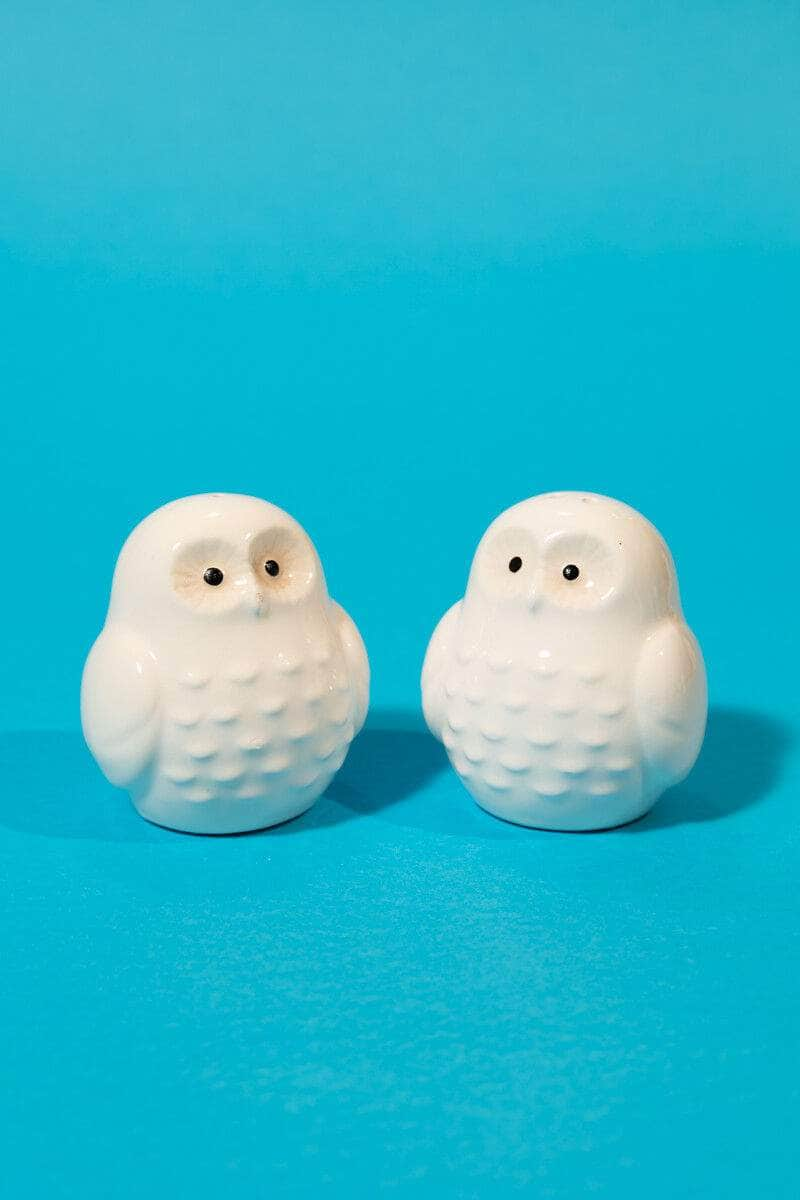 Owls Shaped Salt and Pepper Shaker Set