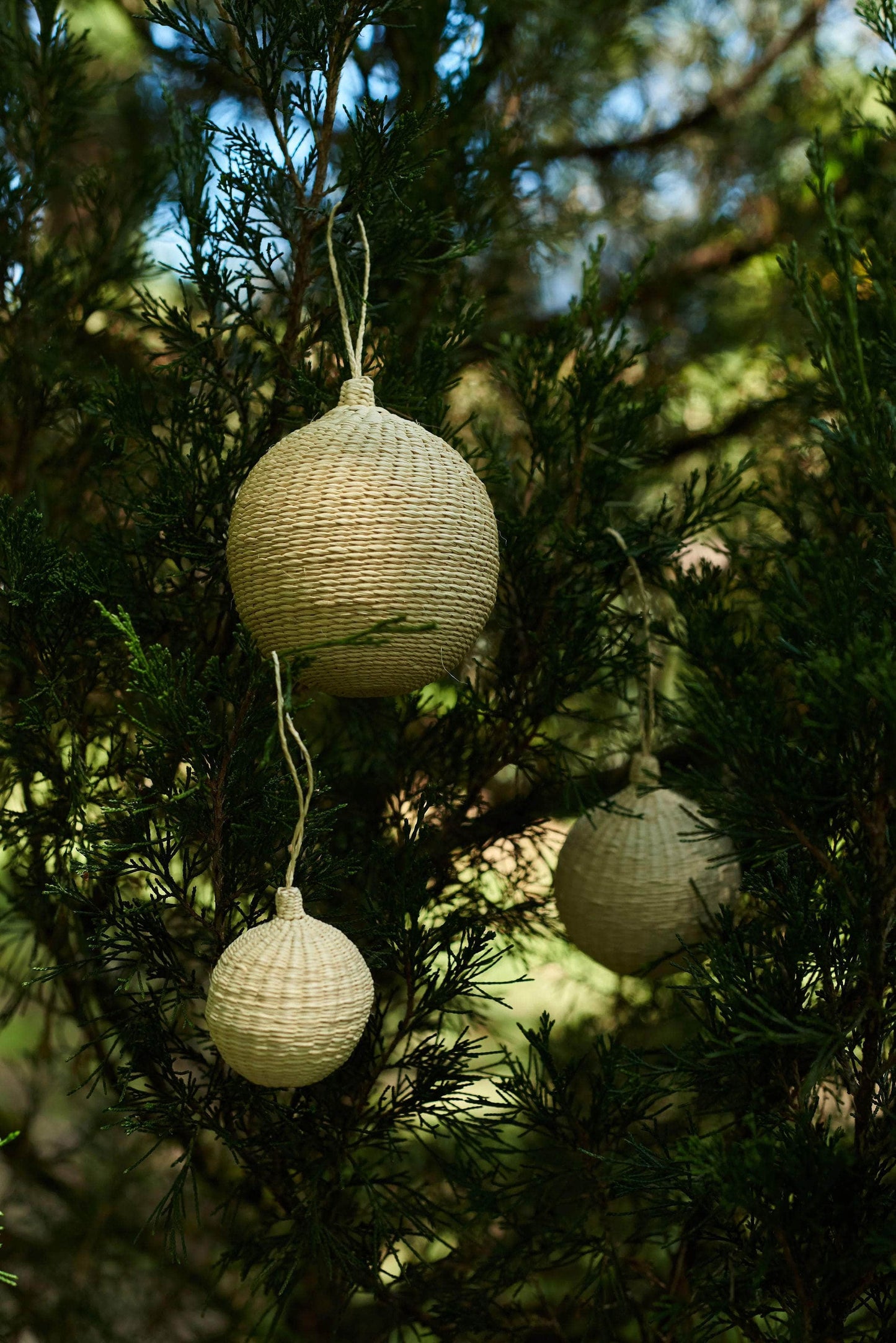 Palmito Natural Woven Baubles (Set of 4)