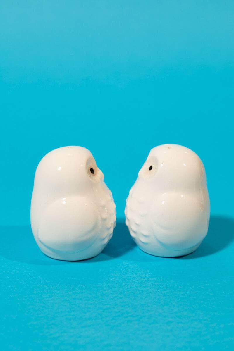 Owls Shaped Salt and Pepper Shaker Set