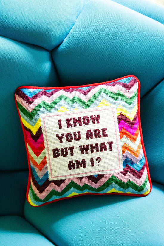 But What Am I Needlepoint Pillow