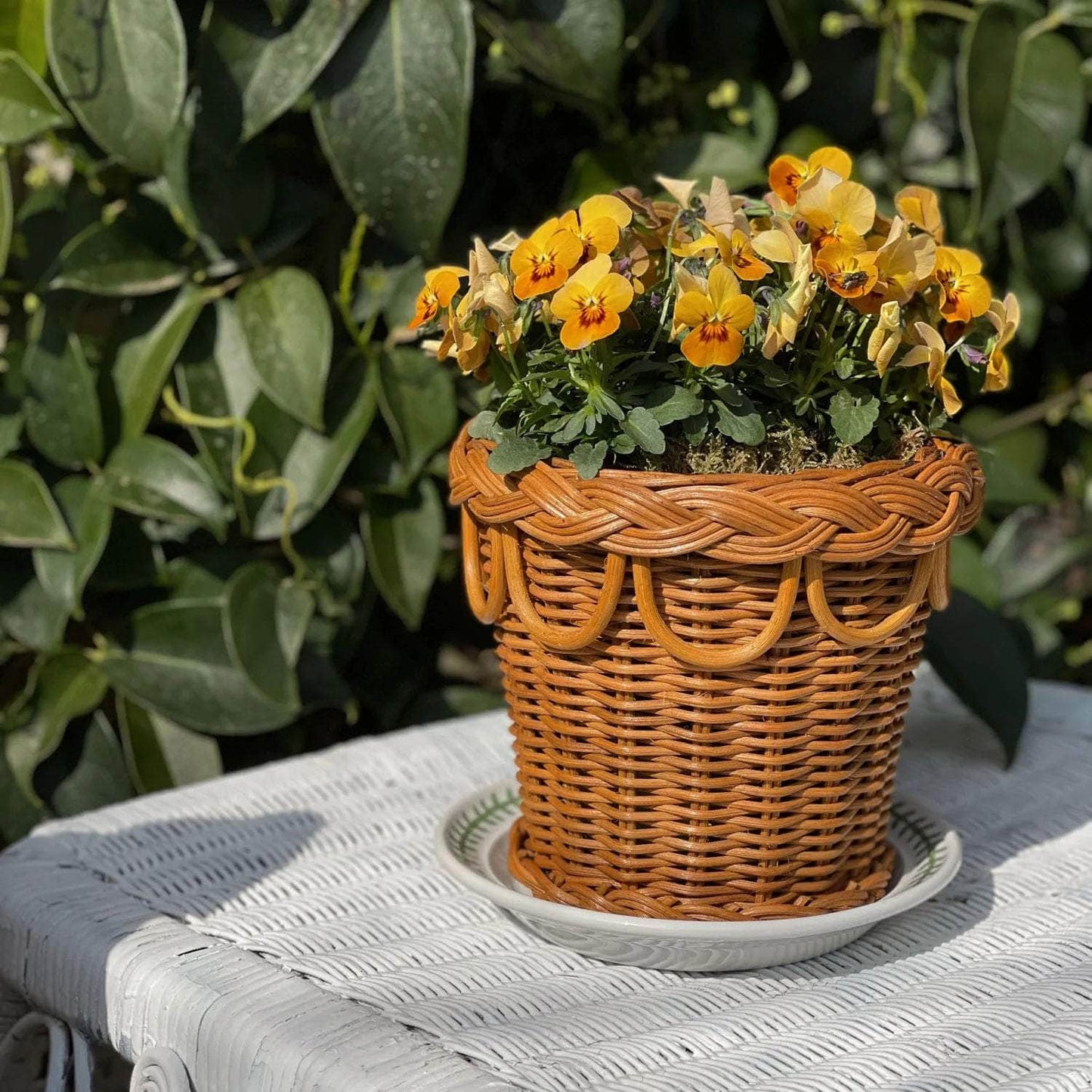 Pinet Plant Pot