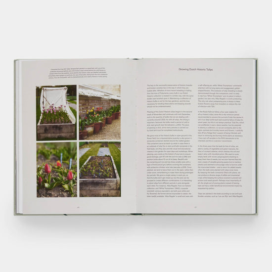 The Tulip Garden: Growing and Collecting Species Book