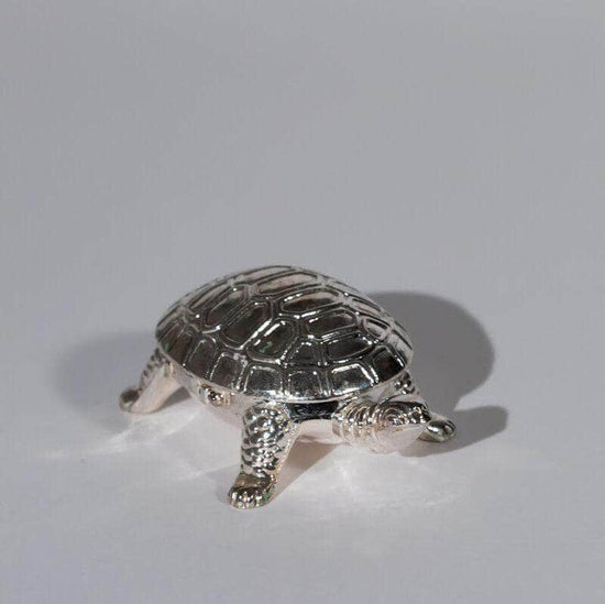 Vintage Turtle Pill Box