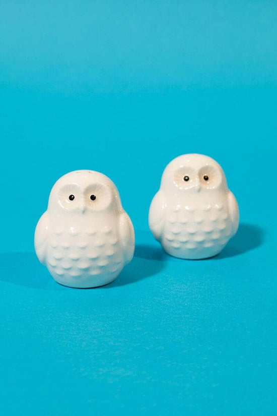 Owls Shaped Salt and Pepper Shaker Set