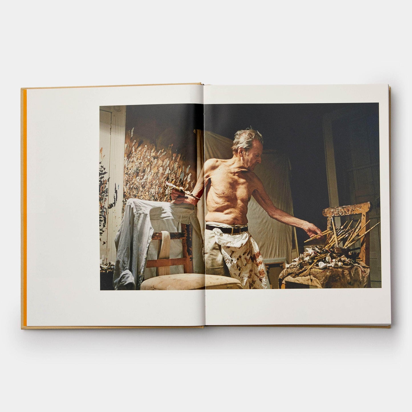 Lucian Freud: A Life Book