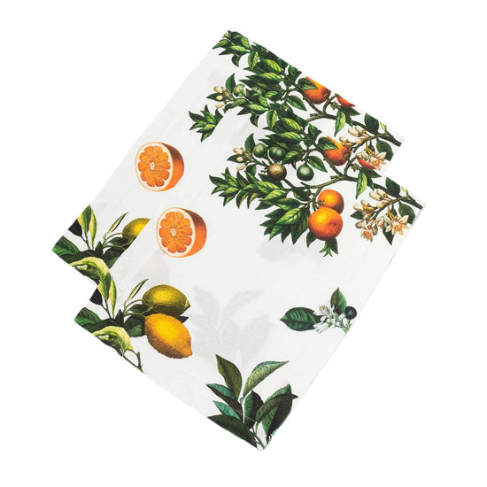 Linen Placemats CITRUSES Set of 2 White