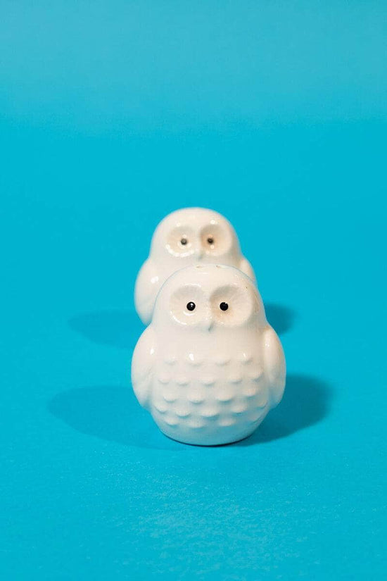 Owls Shaped Salt and Pepper Shaker Set