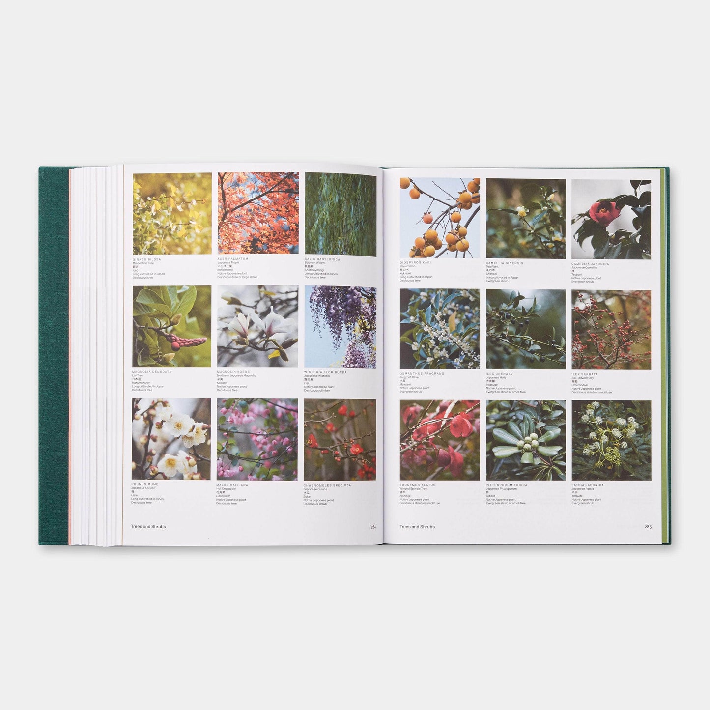 The Japanese Garden Book