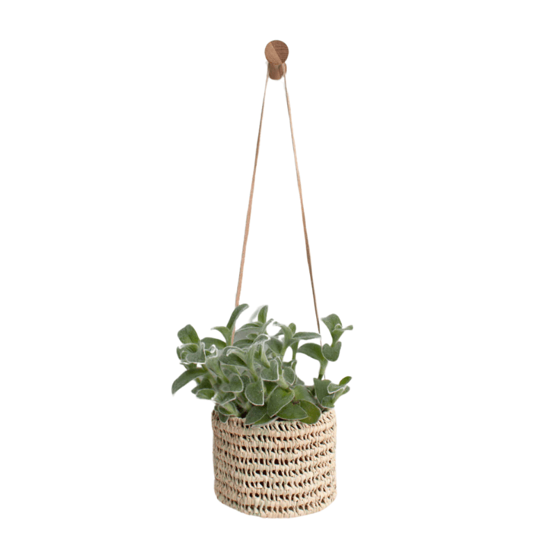 Open Weave Hanging Baskets