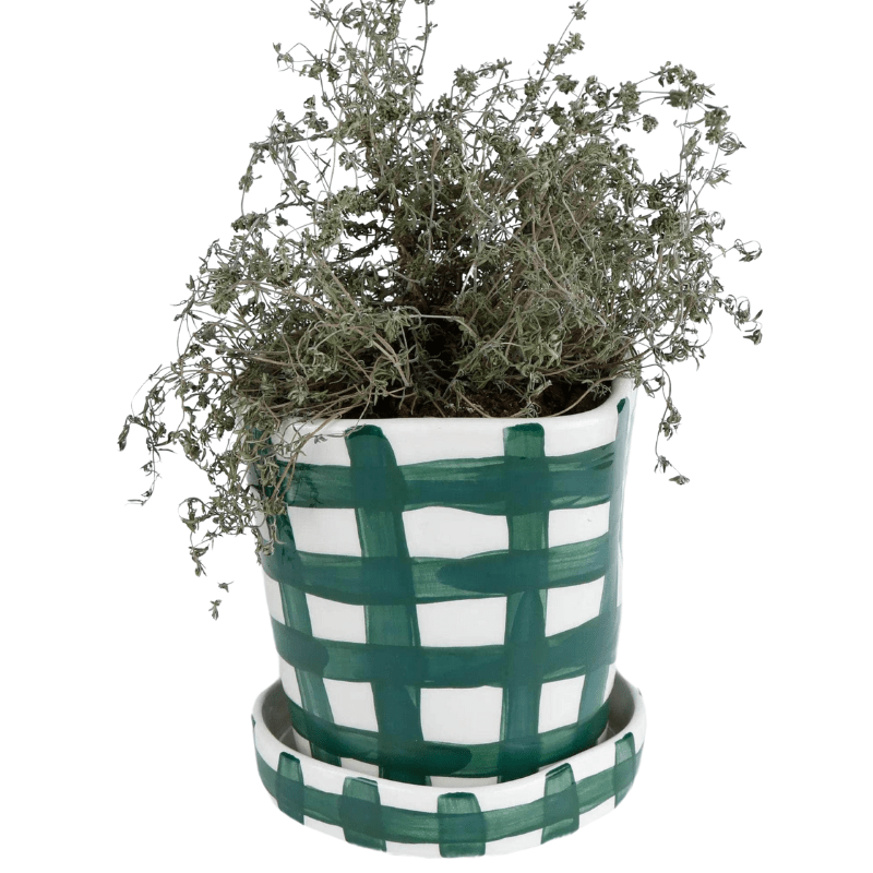 Vichy Green Planter