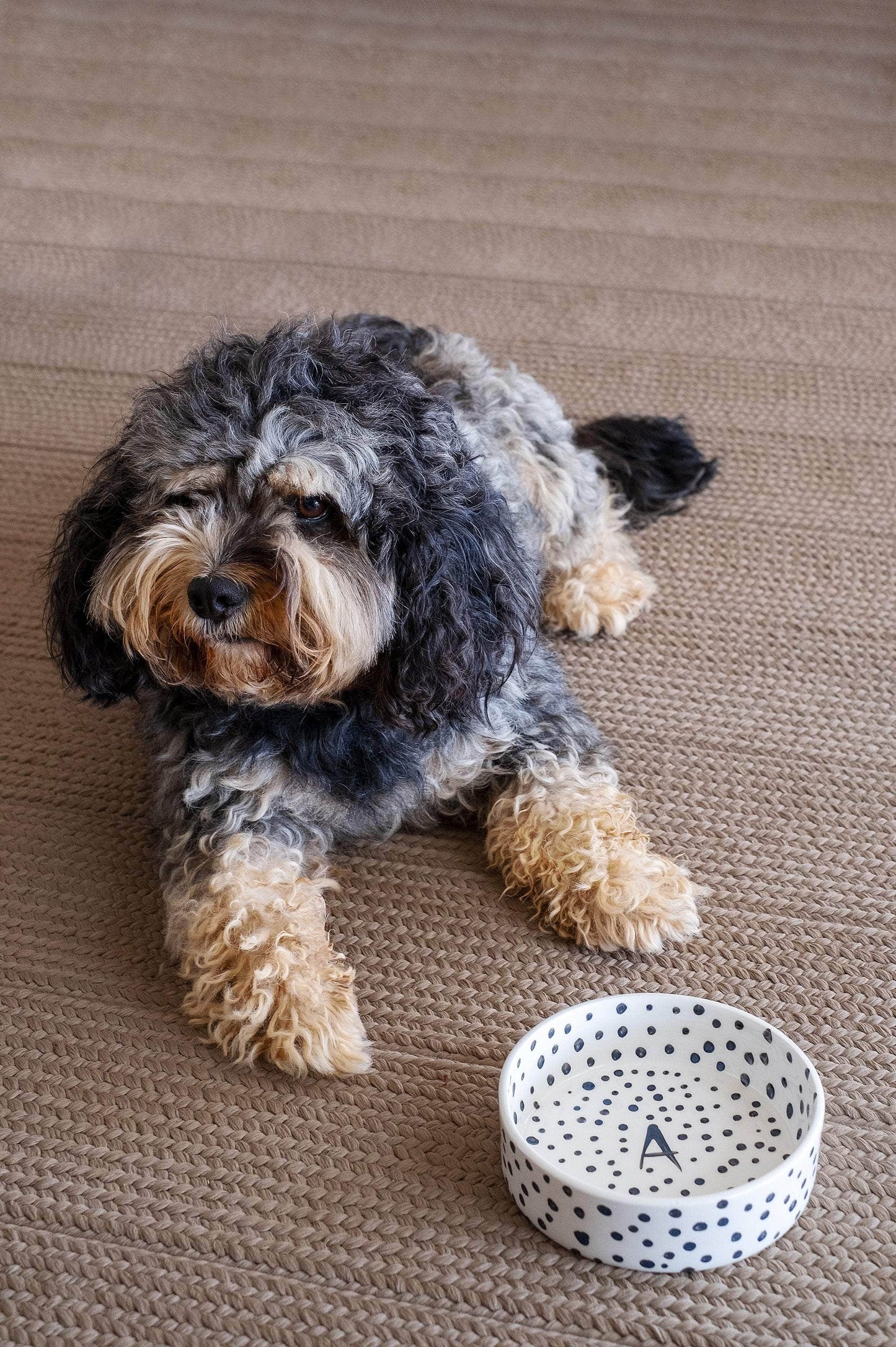 Black Spots Pet Bowl