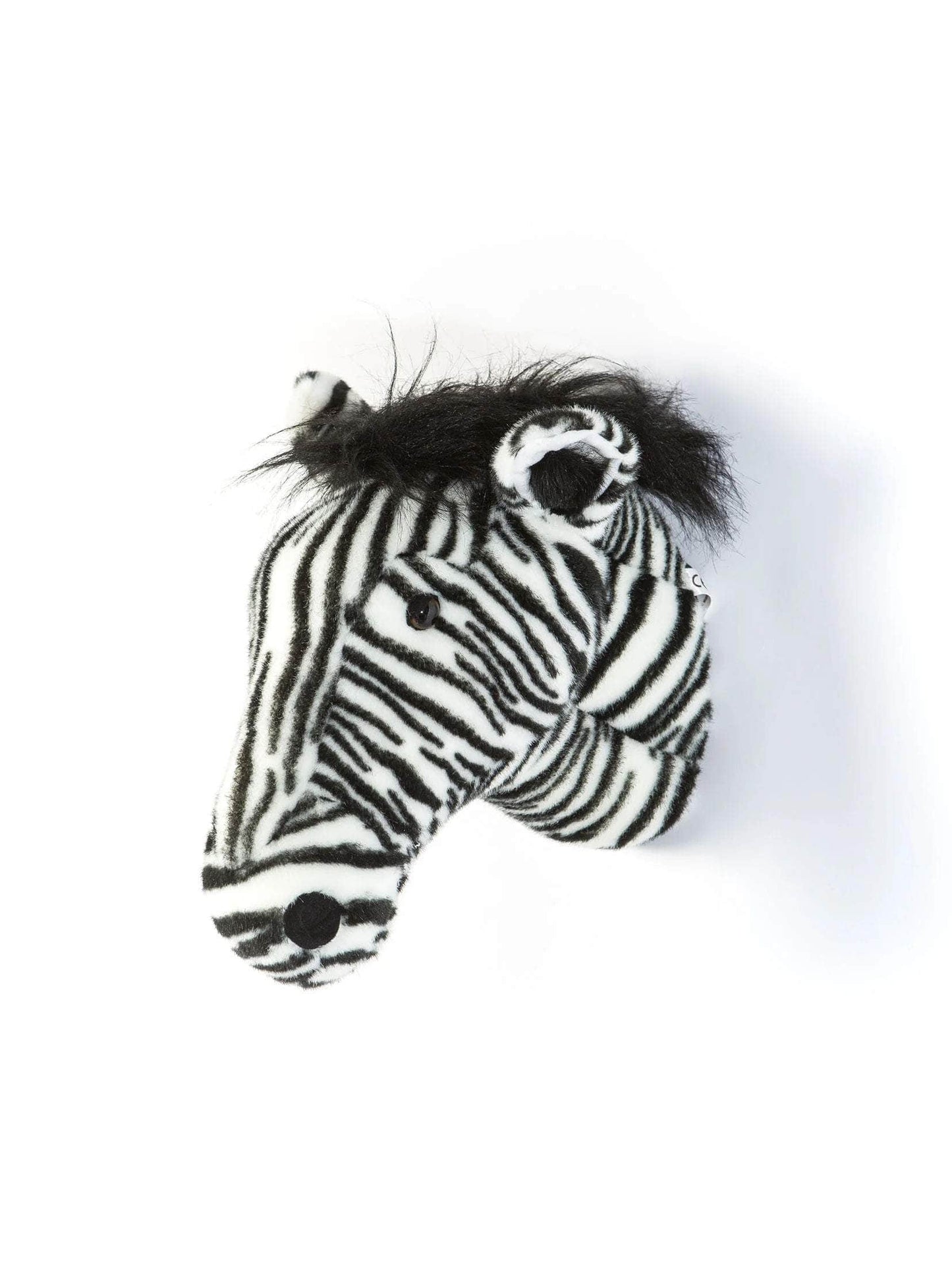 Daniel the Zebra Wall Mounted Plush Head