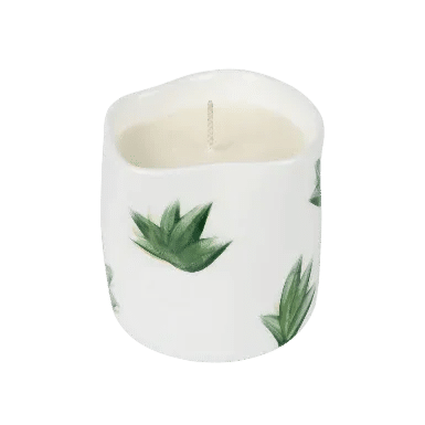 Plants Candle