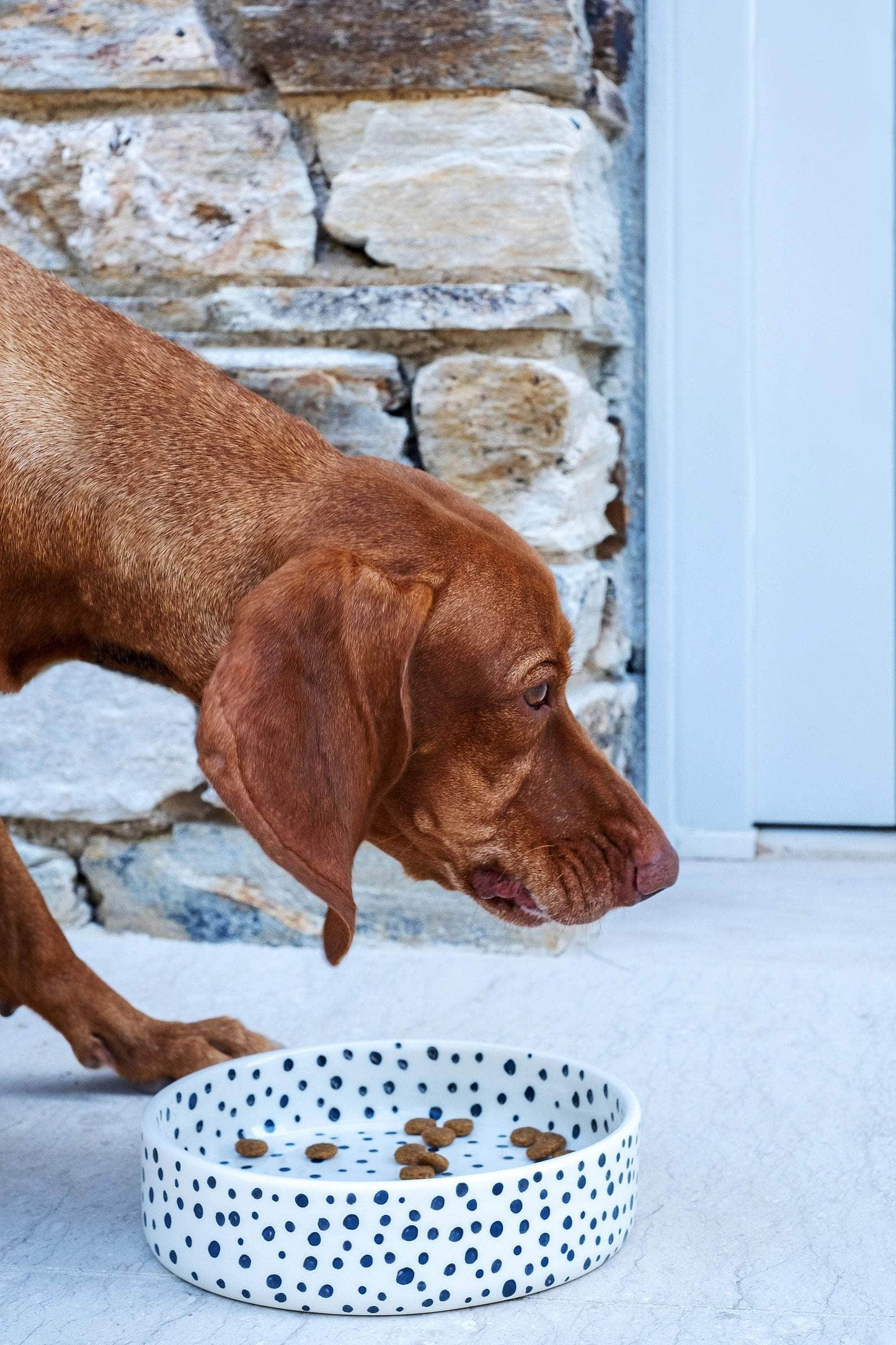 Black Spots Pet Bowl