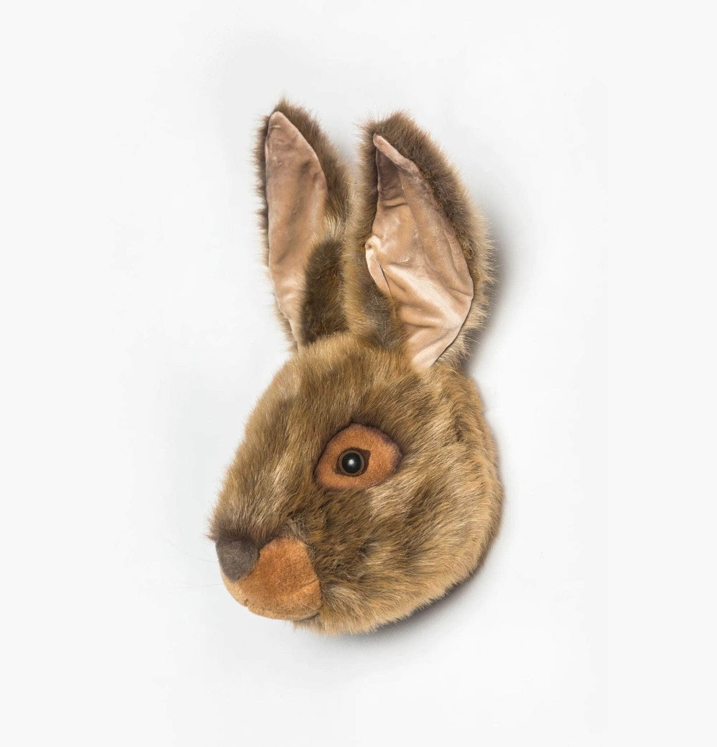 Lewis the Hare Wall Mounted Plush Head